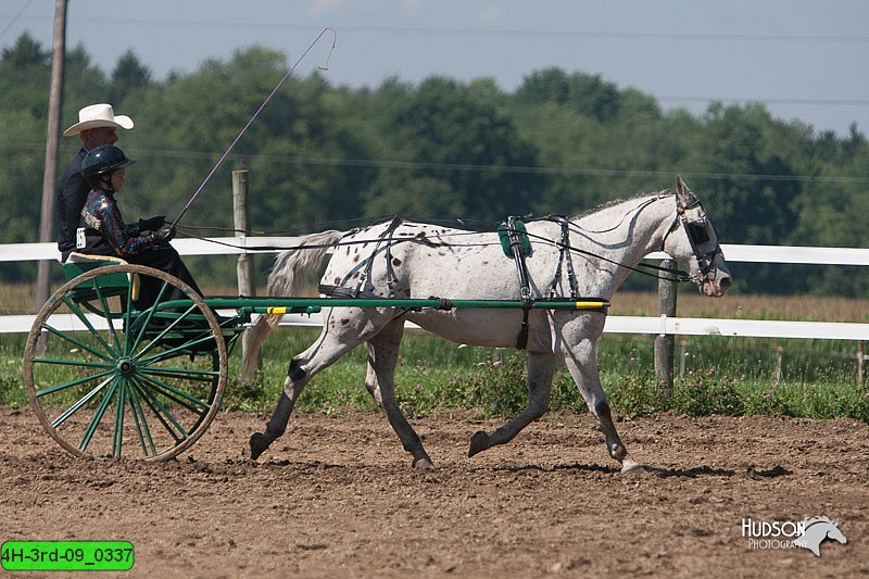 4H-3rd-09_0337.jpg