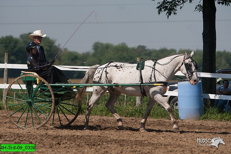 4H-3rd-09_0338.jpg
