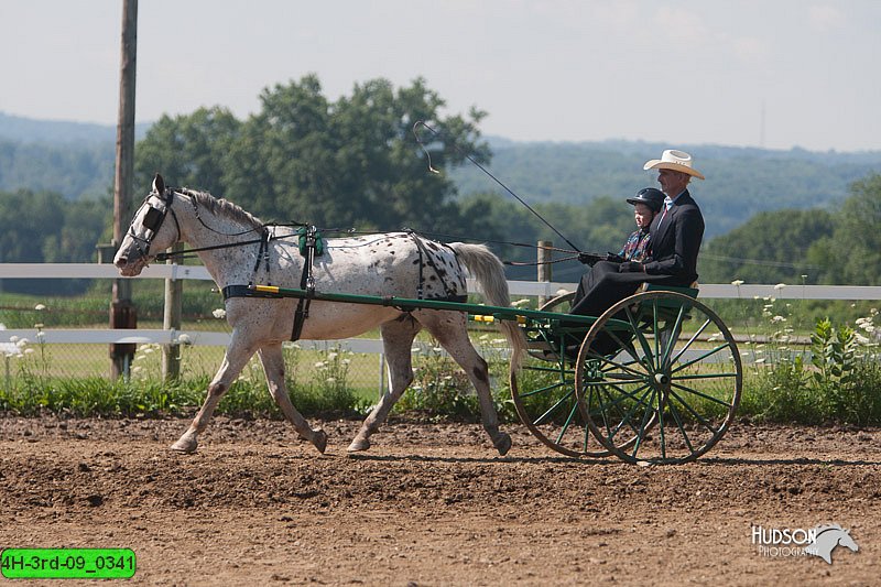 4H-3rd-09_0341.jpg