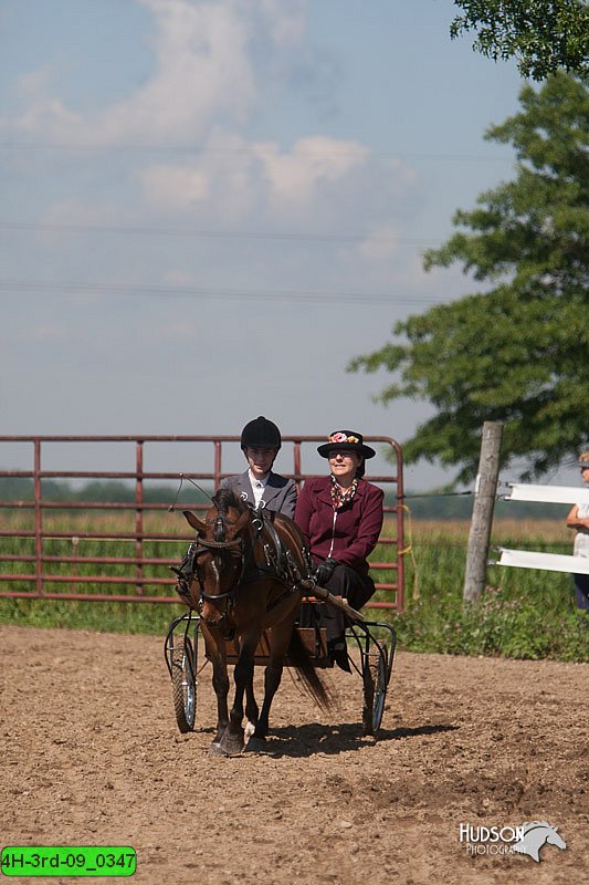 4H-3rd-09_0347.jpg