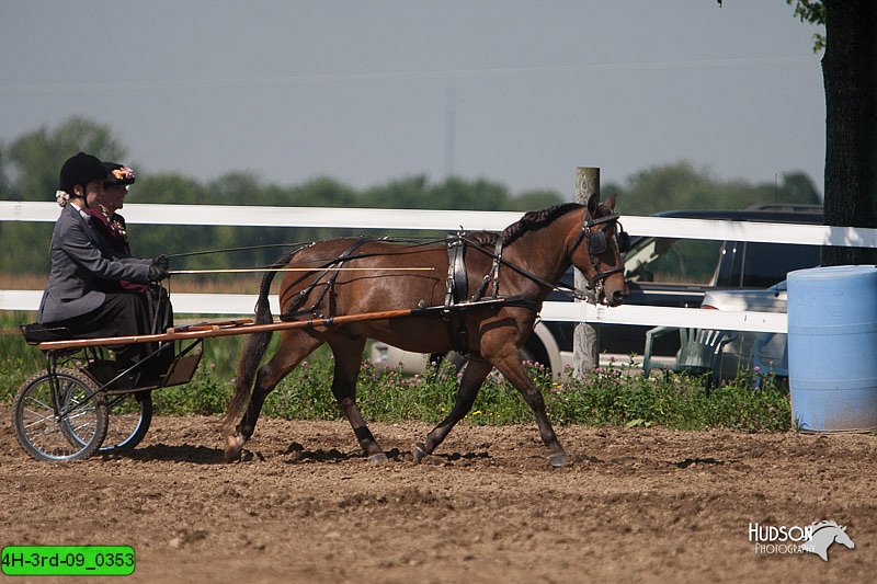 4H-3rd-09_0353.jpg
