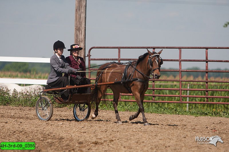 4H-3rd-09_0355.jpg