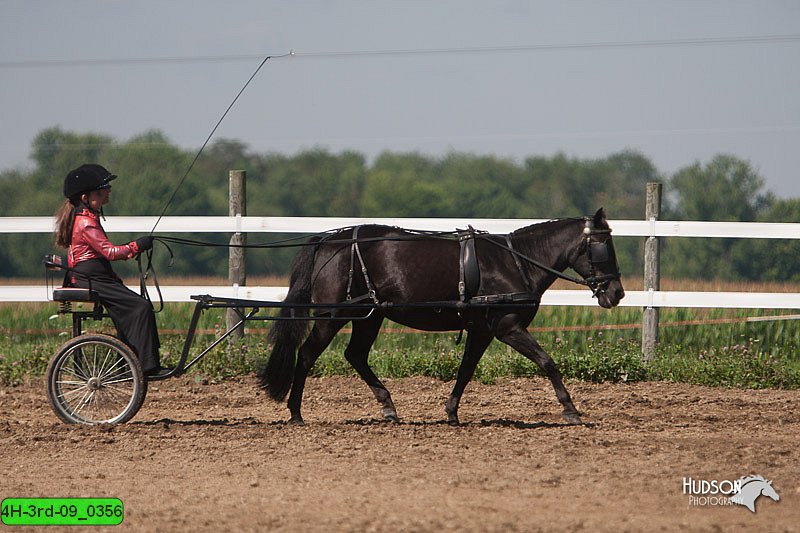 4H-3rd-09_0356.jpg