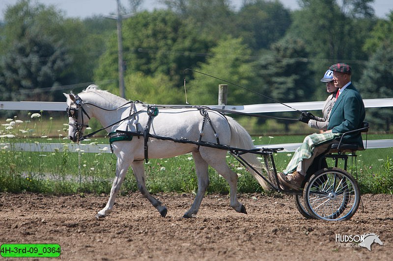 4H-3rd-09_0364.jpg