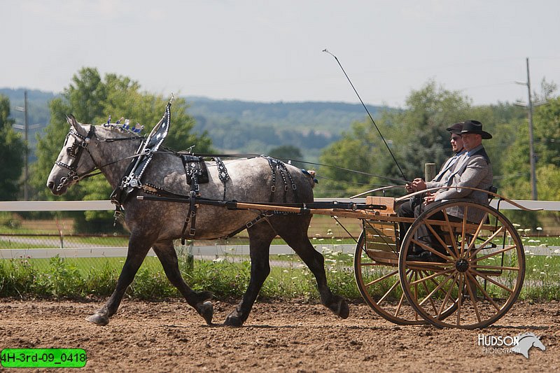 4H-3rd-09_0418.jpg