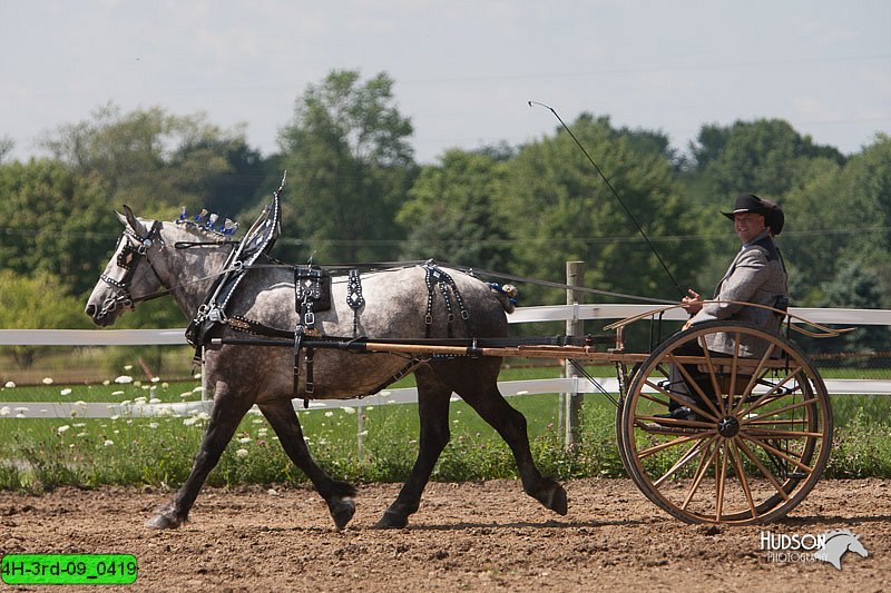 4H-3rd-09_0419.jpg