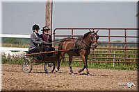 4H-3rd-09_0355.jpg