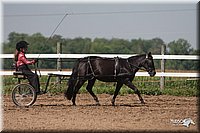 4H-3rd-09_0356.jpg