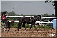 4H-3rd-09_0357.jpg