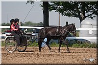 4H-3rd-09_0358.jpg