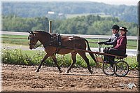 4H-3rd-09_0363.jpg