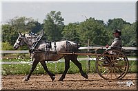 4H-3rd-09_0419.jpg