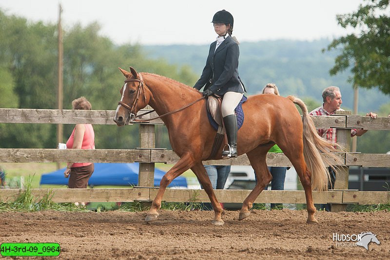 4H-3rd-09_0964.jpg