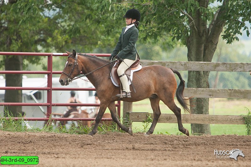 4H-3rd-09_0972.jpg