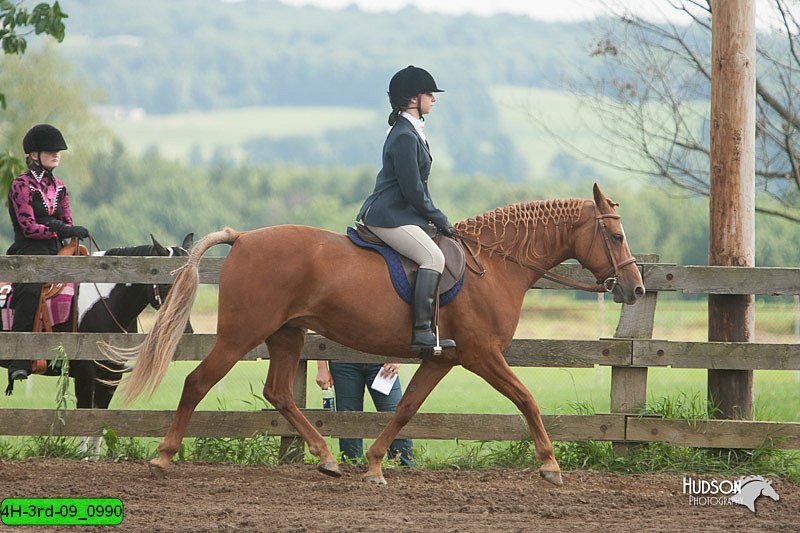 4H-3rd-09_0990.jpg