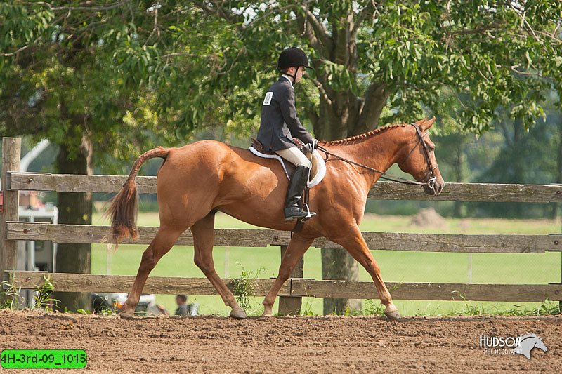 4H-3rd-09_1015.jpg