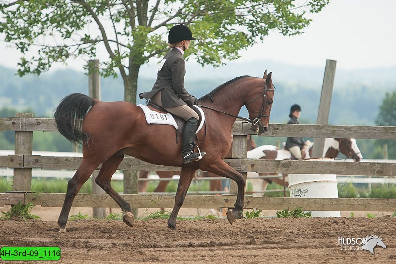 4H-3rd-09_1116.jpg