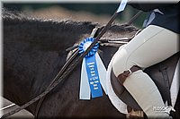 4H-3rd-09_0451.jpg