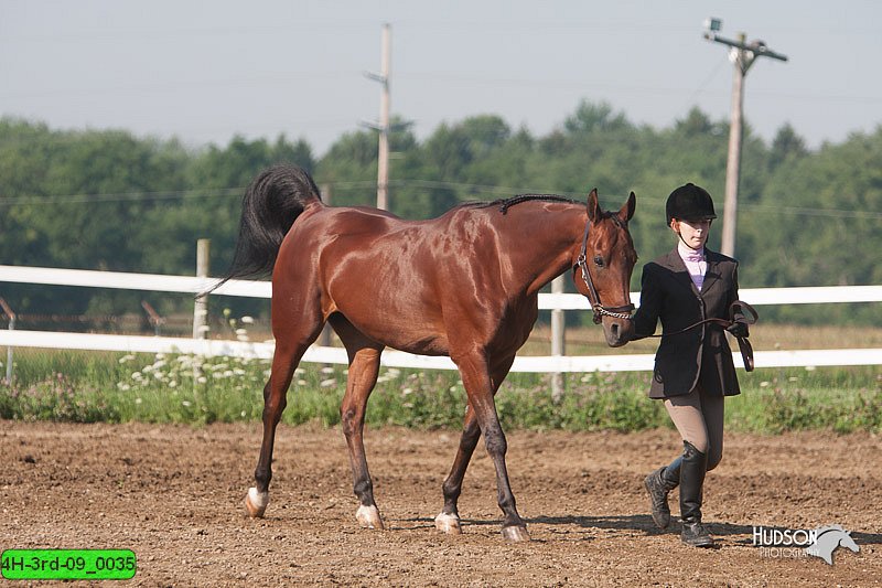 4H-3rd-09_0035.jpg
