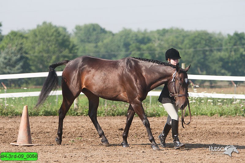 4H-3rd-09_0050.jpg