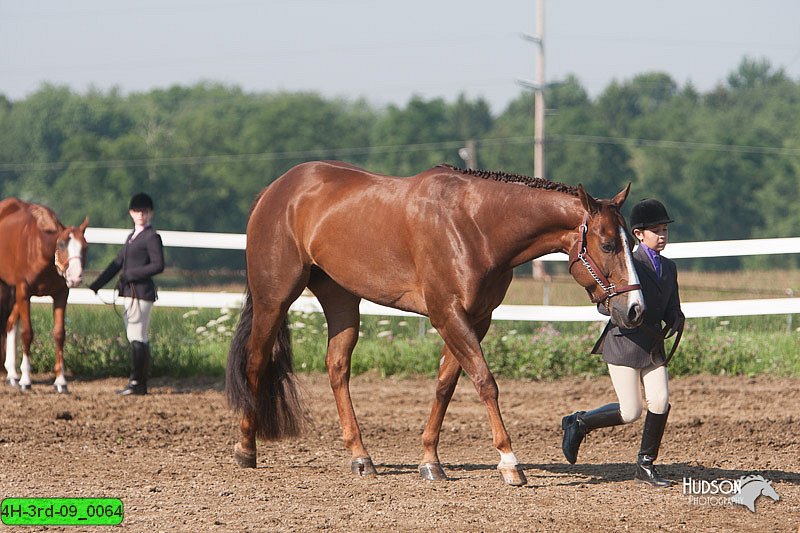 4H-3rd-09_0064.jpg