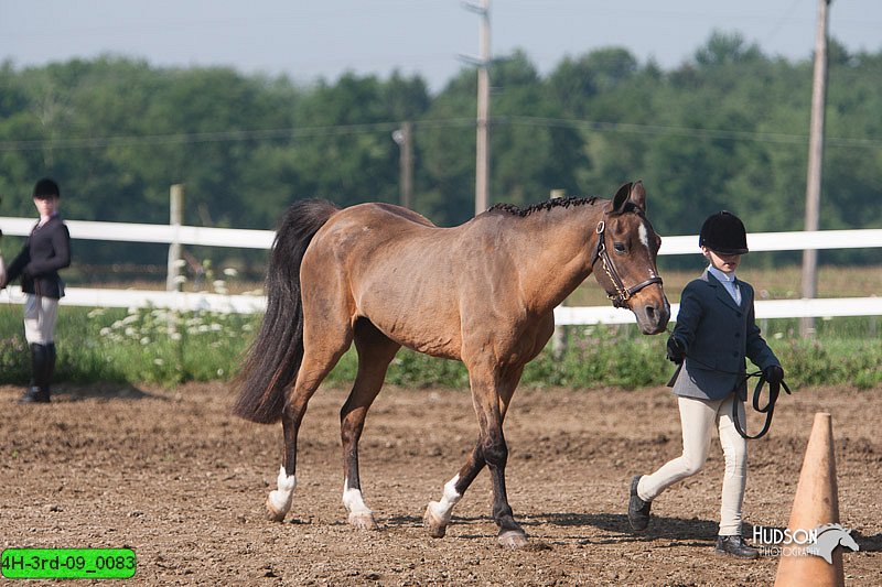 4H-3rd-09_0083.jpg
