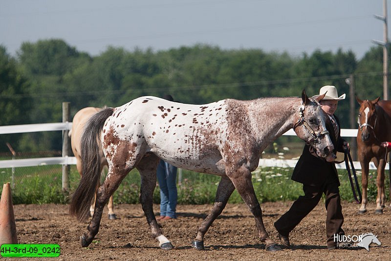4H-3rd-09_0242.jpg
