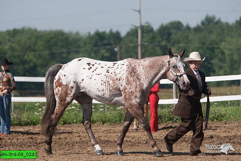 4H-3rd-09_0243.jpg