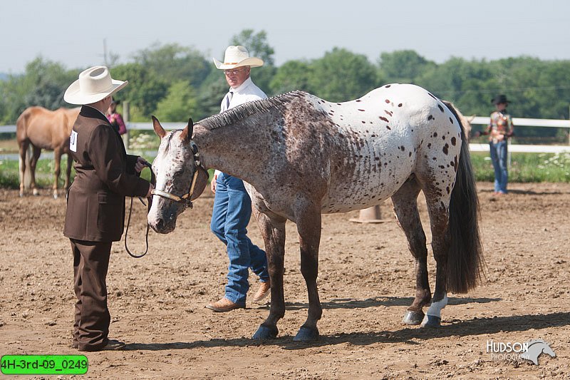 4H-3rd-09_0249.jpg