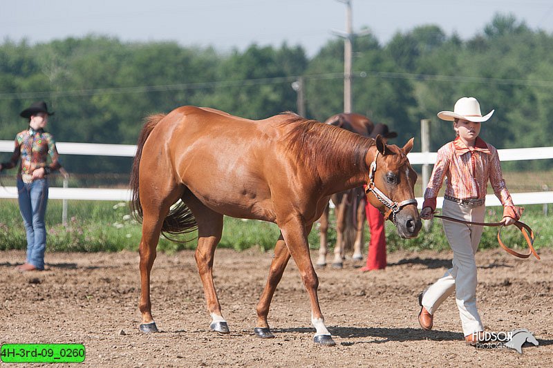 4H-3rd-09_0260.jpg
