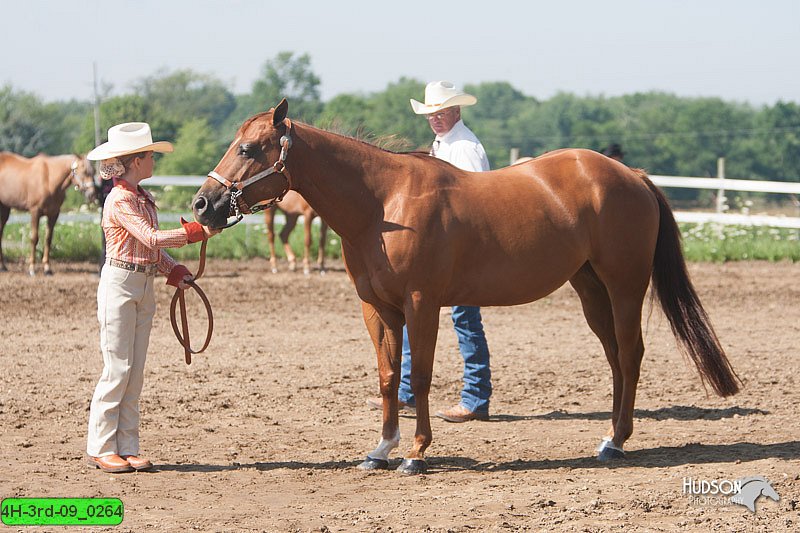 4H-3rd-09_0264.jpg