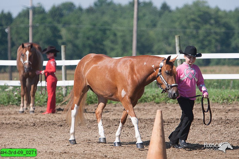 4H-3rd-09_0271.jpg