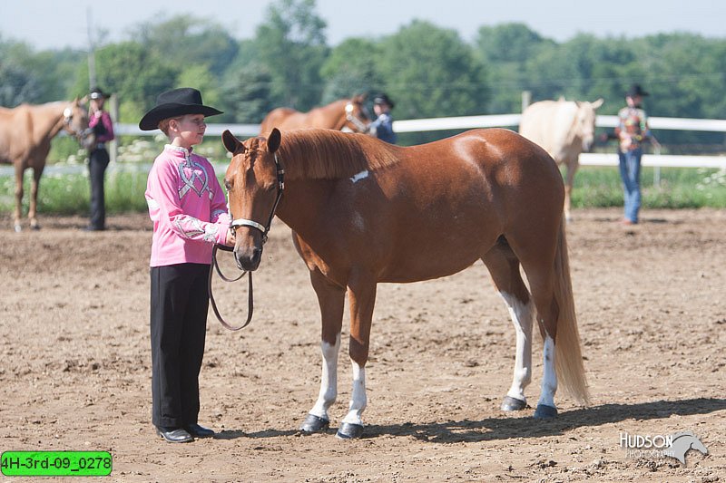 4H-3rd-09_0278.jpg