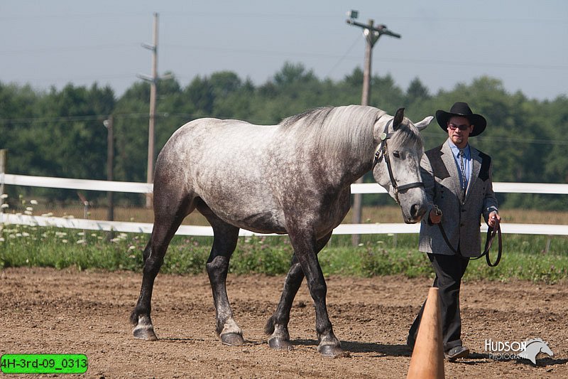 4H-3rd-09_0313.jpg