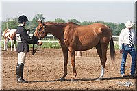 4H-3rd-09_0033.jpg