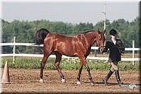 4H-3rd-09_0034.jpg