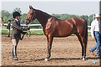 4H-3rd-09_0039.jpg