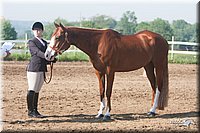 4H-3rd-09_0048.jpg