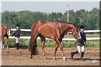 4H-3rd-09_0064.jpg