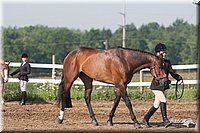 4H-3rd-09_0073.jpg