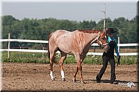 4H-3rd-09_0104.jpg