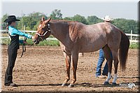 4H-3rd-09_0108.jpg