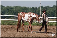 4H-3rd-09_0111.jpg