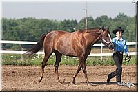 4H-3rd-09_0133.jpg