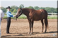 4H-3rd-09_0141.jpg