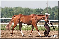 4H-3rd-09_0162.jpg