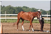 4H-3rd-09_0164.jpg