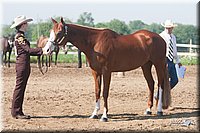 4H-3rd-09_0169.jpg