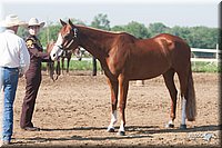 4H-3rd-09_0170.jpg