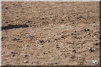 4H-3rd-09_0173.jpg